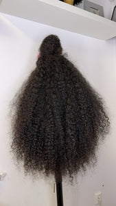 Lace Frontal Human Hair Wig
