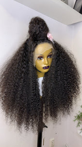 Lace Frontal Human Hair Wig