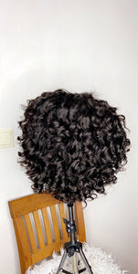 Handmade Lace Closure Curly Human Hair Handmade Wig